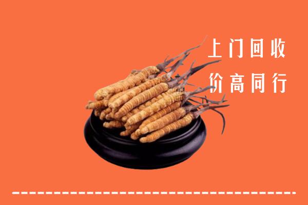 高价求购：黄冈市红安县回收散虫草